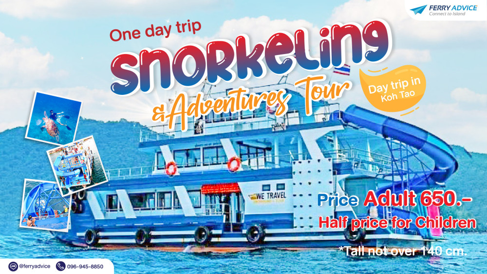 วันเดย์ทริป Snorkeling & Adventures Tour (รับจากเกาะเต่า)